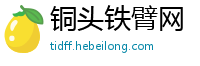 铜头铁臂网